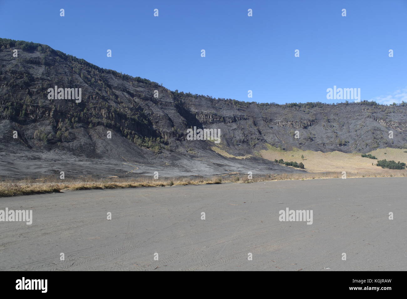 Burn Forest in Mount Bromo National Park, East Java, Indonesia Stock Photo