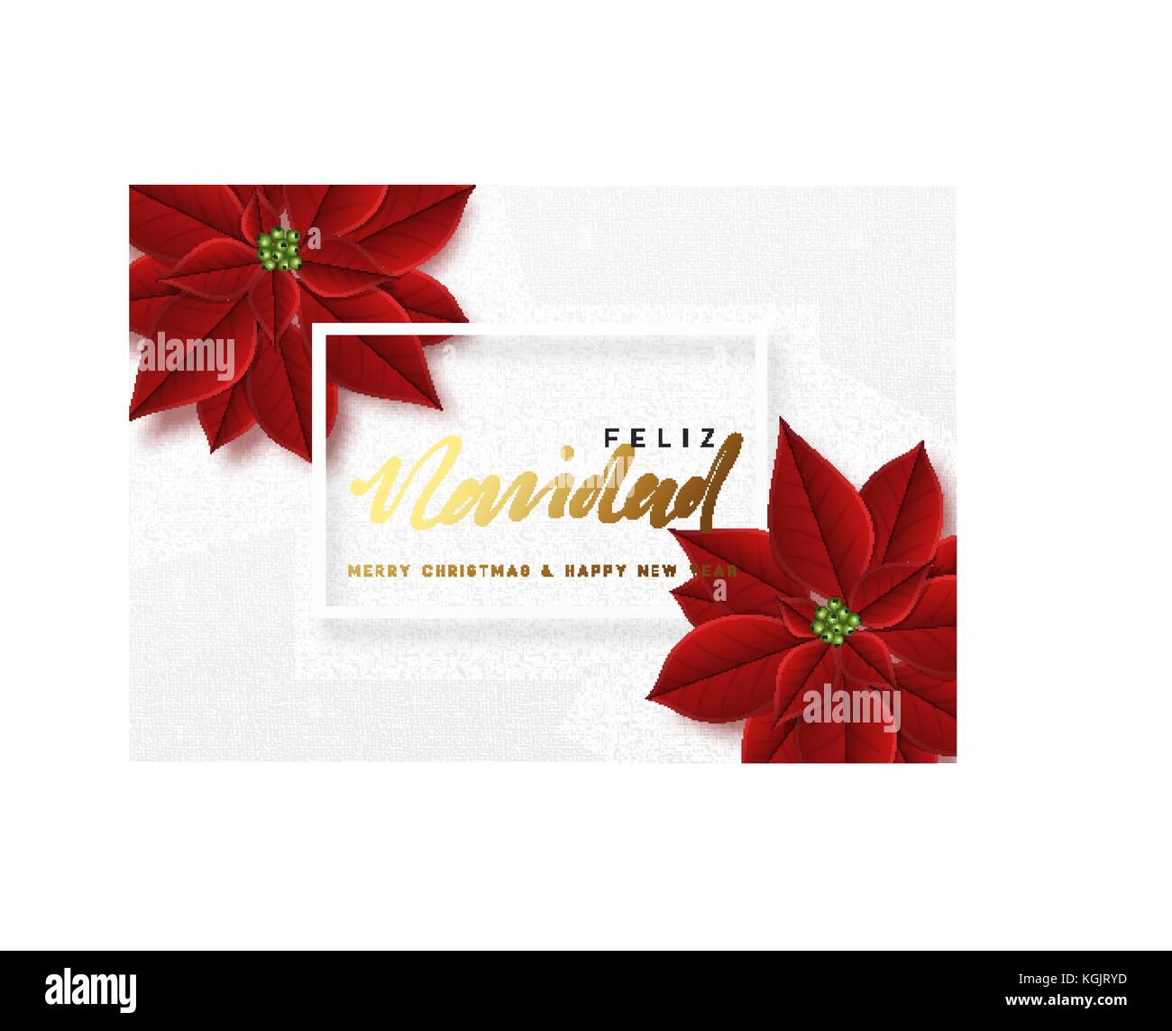 Merry Christmas, background decorated with beautiful red buds poinsettia flowers. Stock Vector