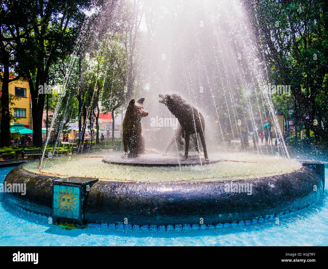 Fountain of drinking coyotes, Coyoacán, Mexico City Stock Photo