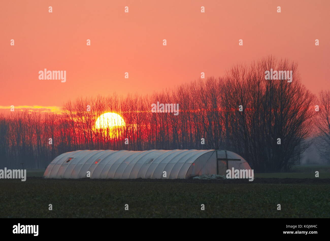 Agriculture Hothouse on the Field at Sunset Stock Photo