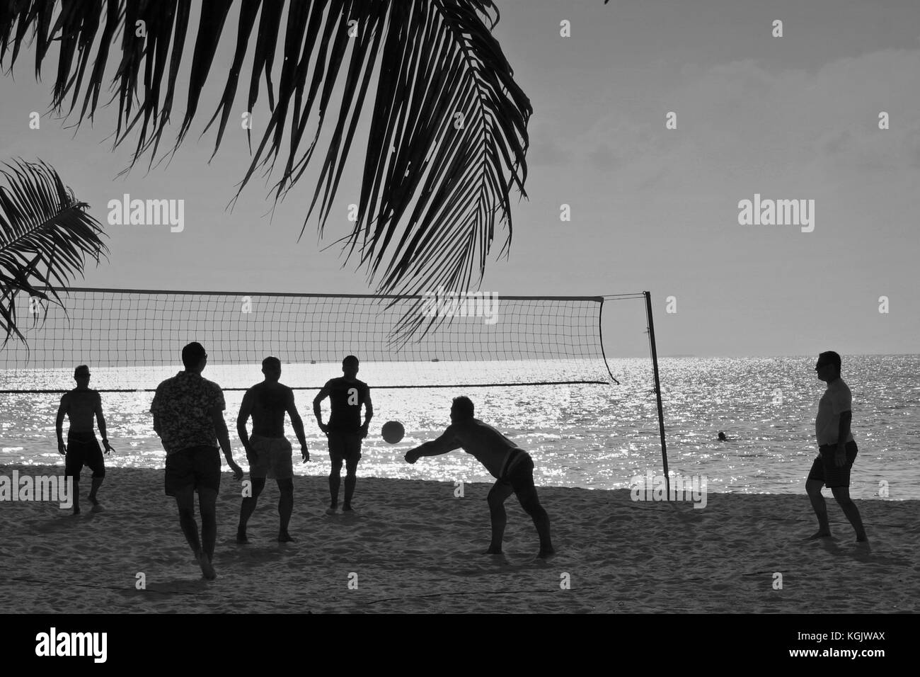 Playing volleyball at the beach in the maldives Stock Photo Alamy