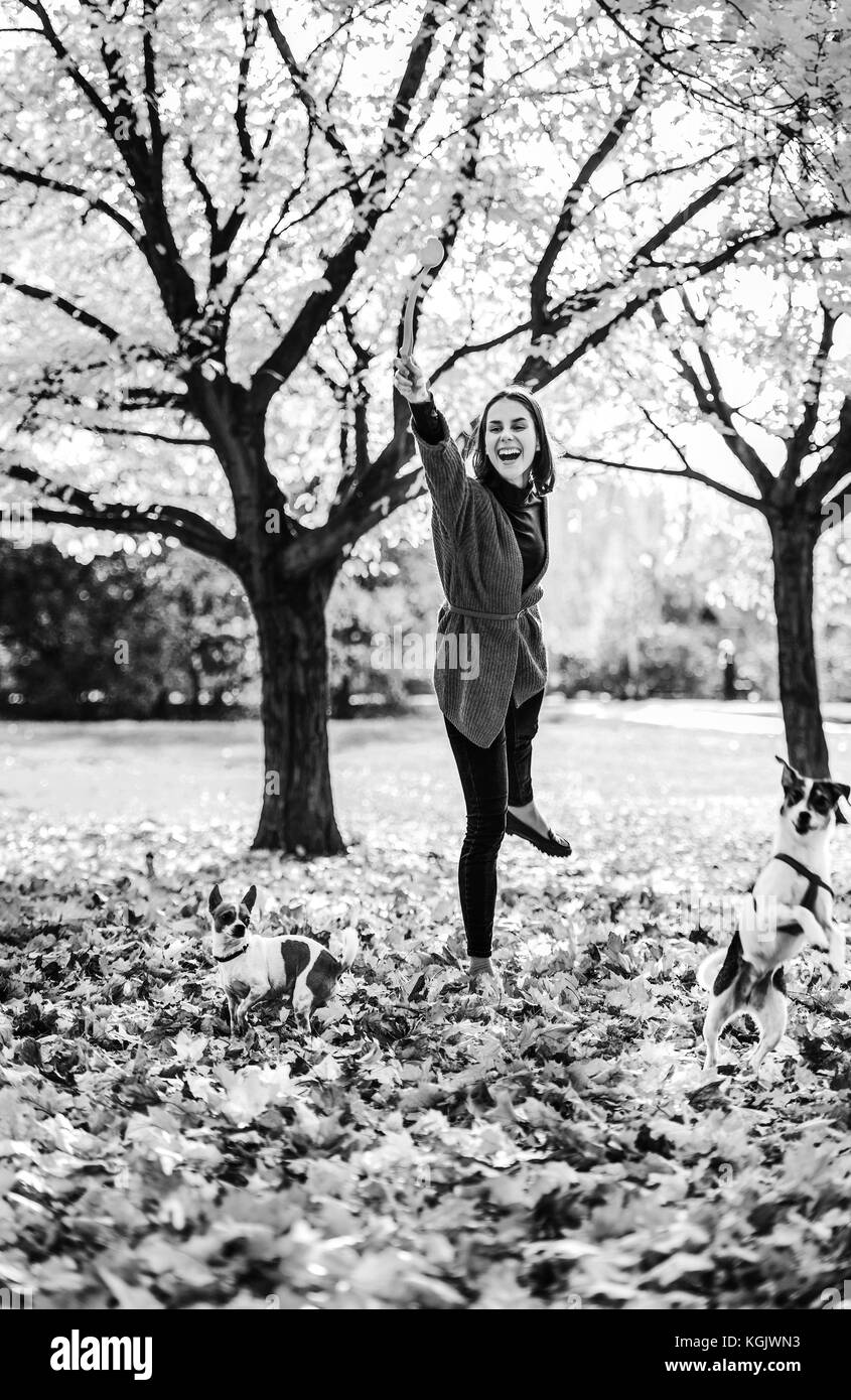 Happy young woman playing with dogs outdoors in autumn Stock Photo - Alamy