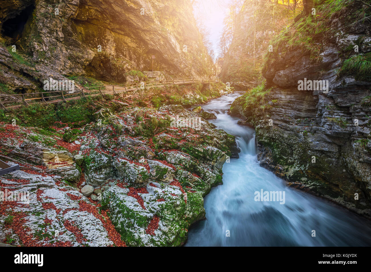 Bled, Slovenia - The beautiful Vintgar Gorge canyon with wooden path and stream near Bled, Triglav Stock Photo