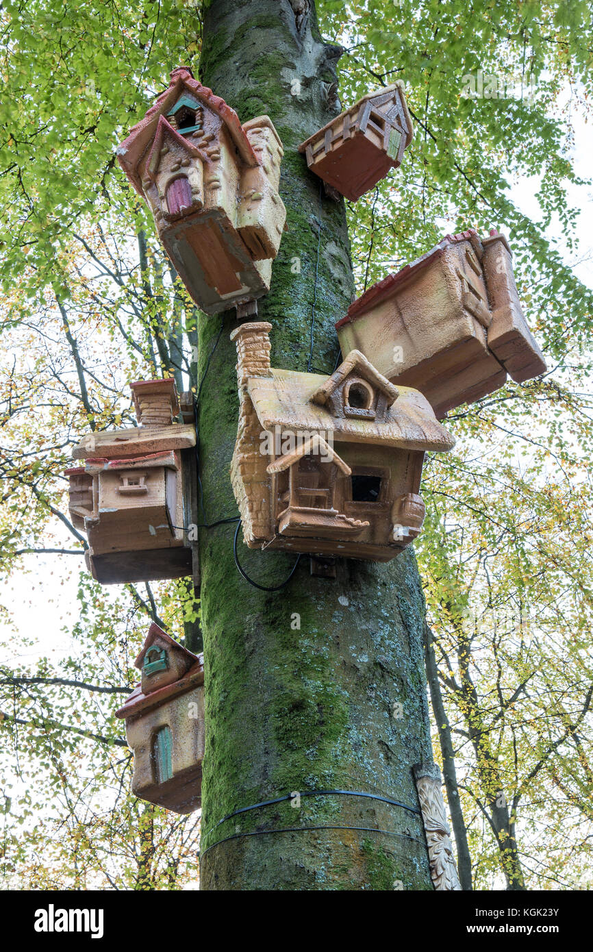 Collection of Bird Houses in a tree Stock Photo
