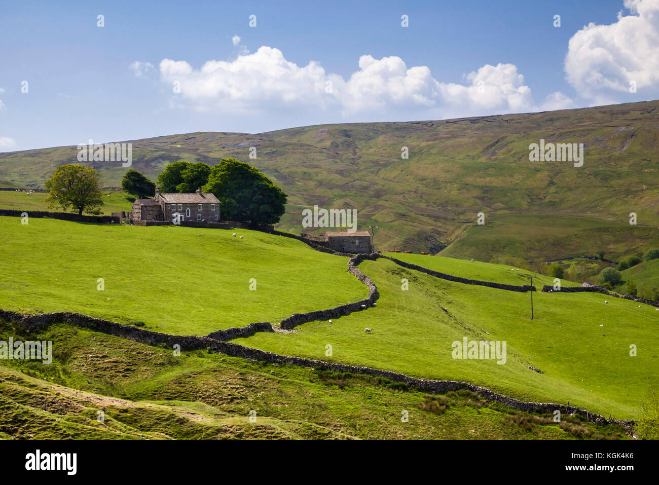 Oxnop Ghyll Farm Swaledale Yorkshire Dales national park Stock Photo