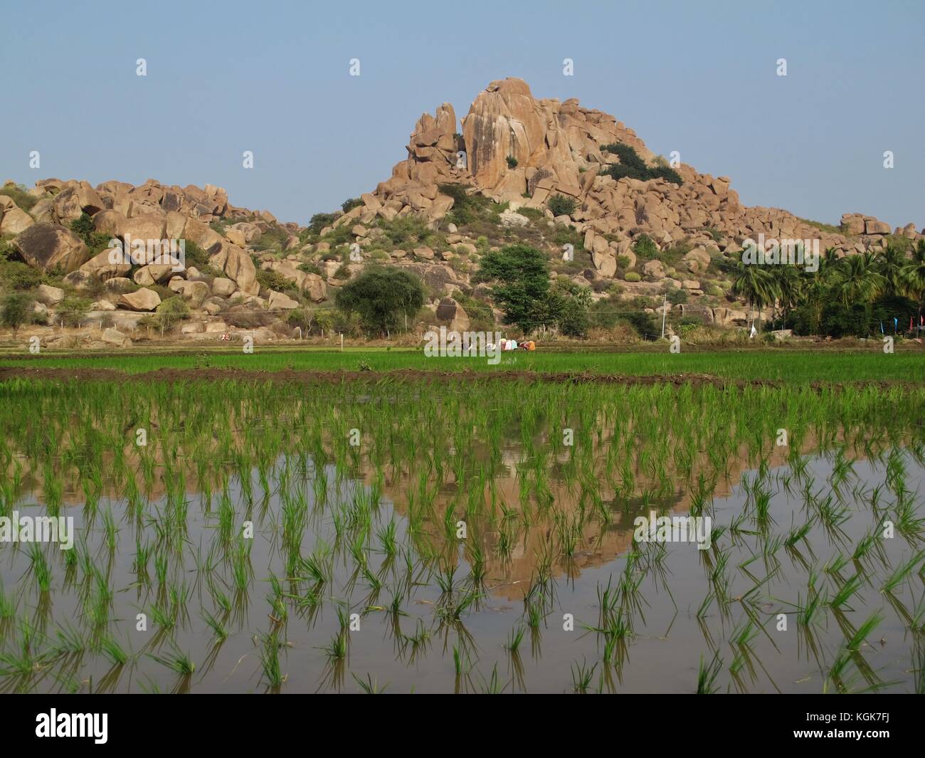 Unique granite mountains in Karnataka, India Stock Photo Alamy
