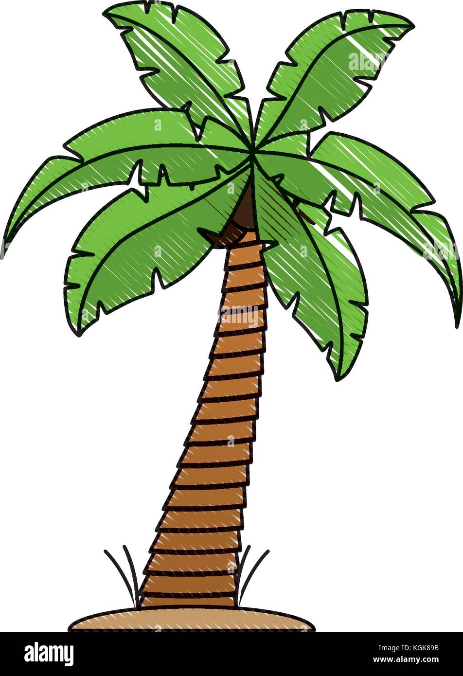 tropical palm icon Stock Vector Image & Art - Alamy