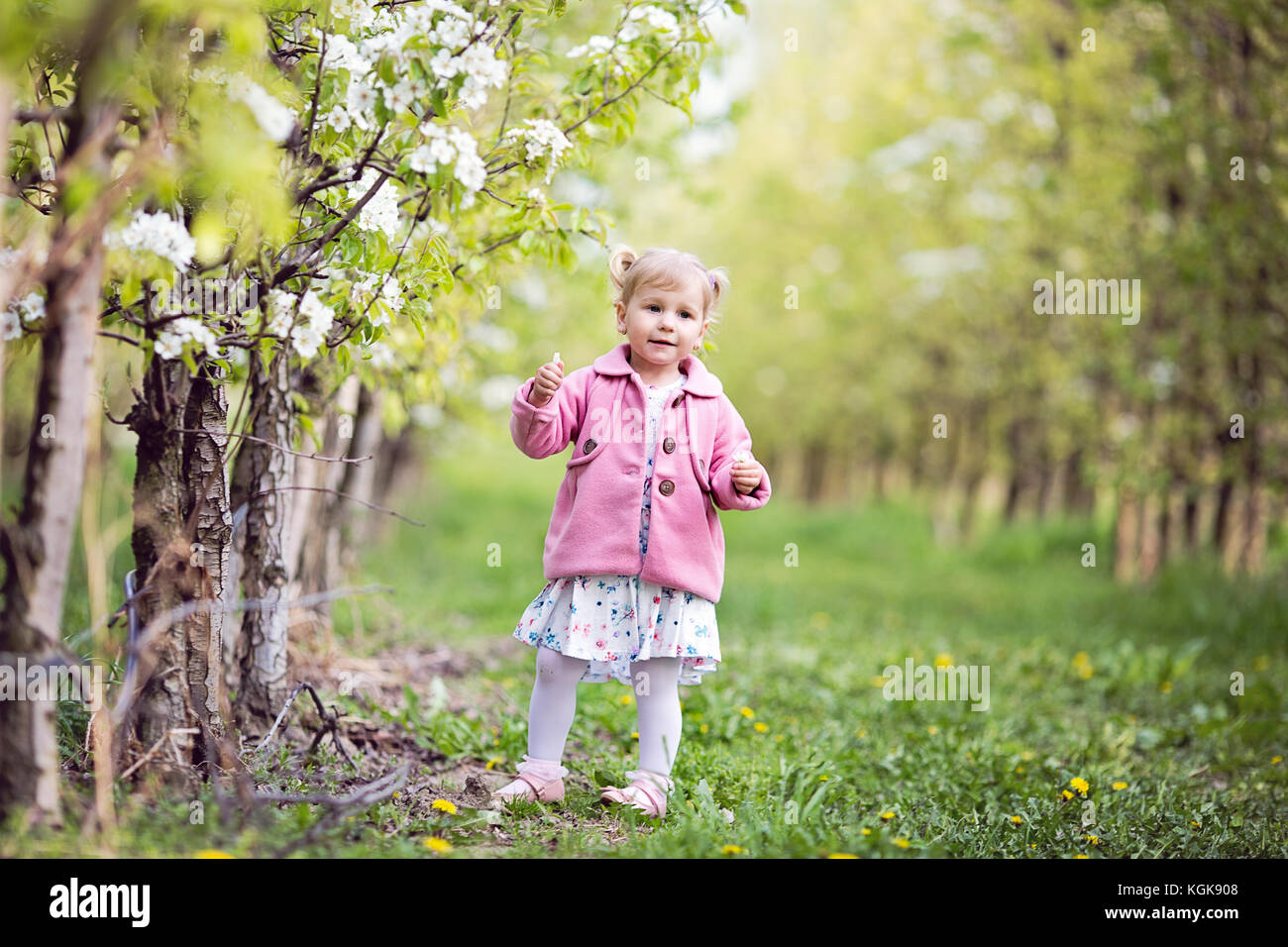 Cute little blond girl standing in orchard next to a small apple tree in bloom, holding apple tree flower Stock Photo
