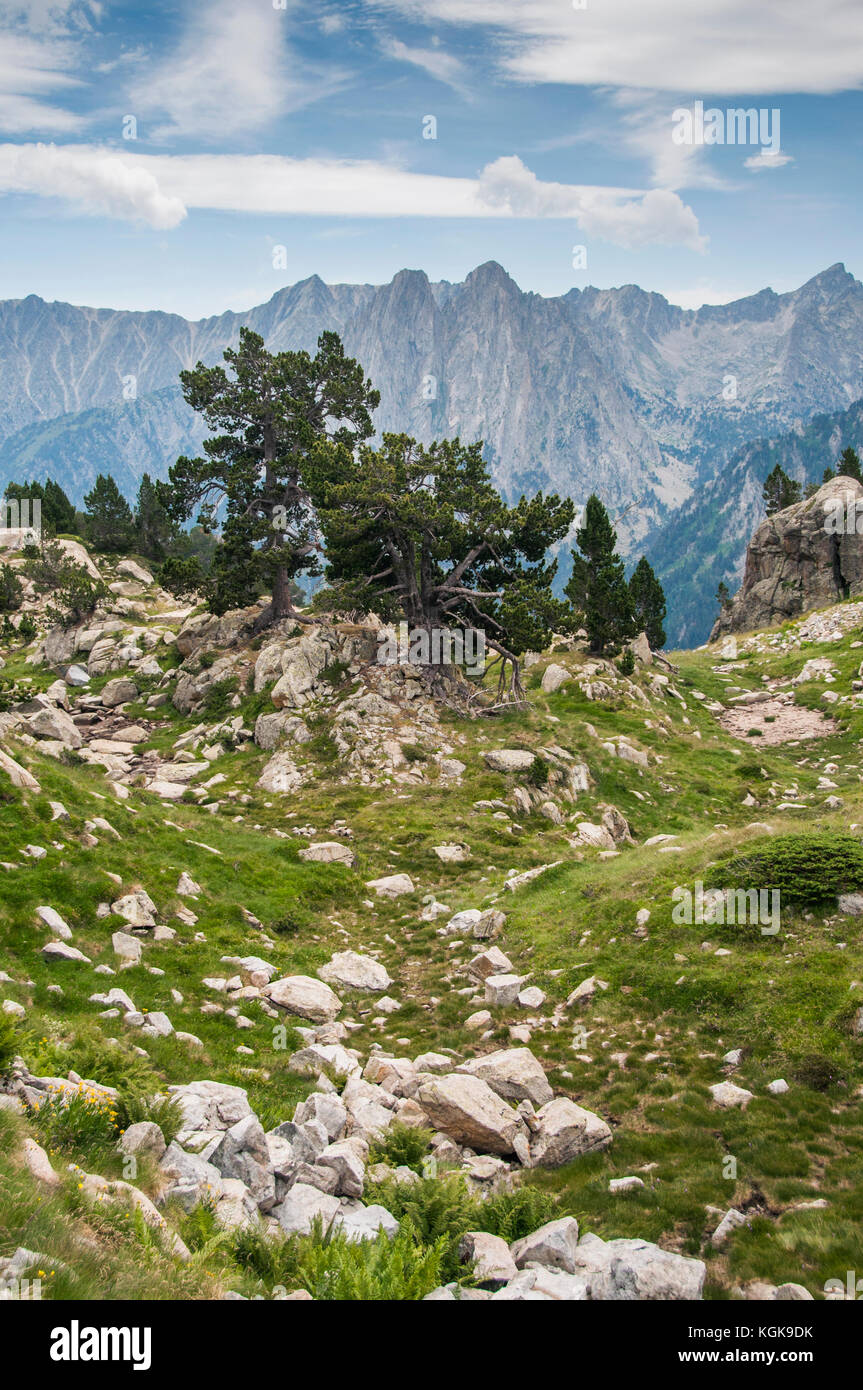 Views from the lake of Amitges (Aigüestortes National Parck) Stock Photo