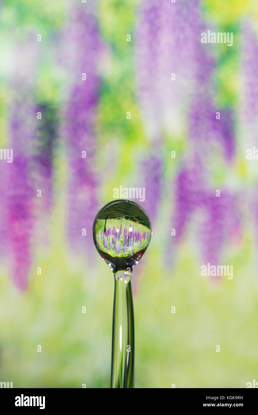 Drops of four seasons - spring. Stock Photo