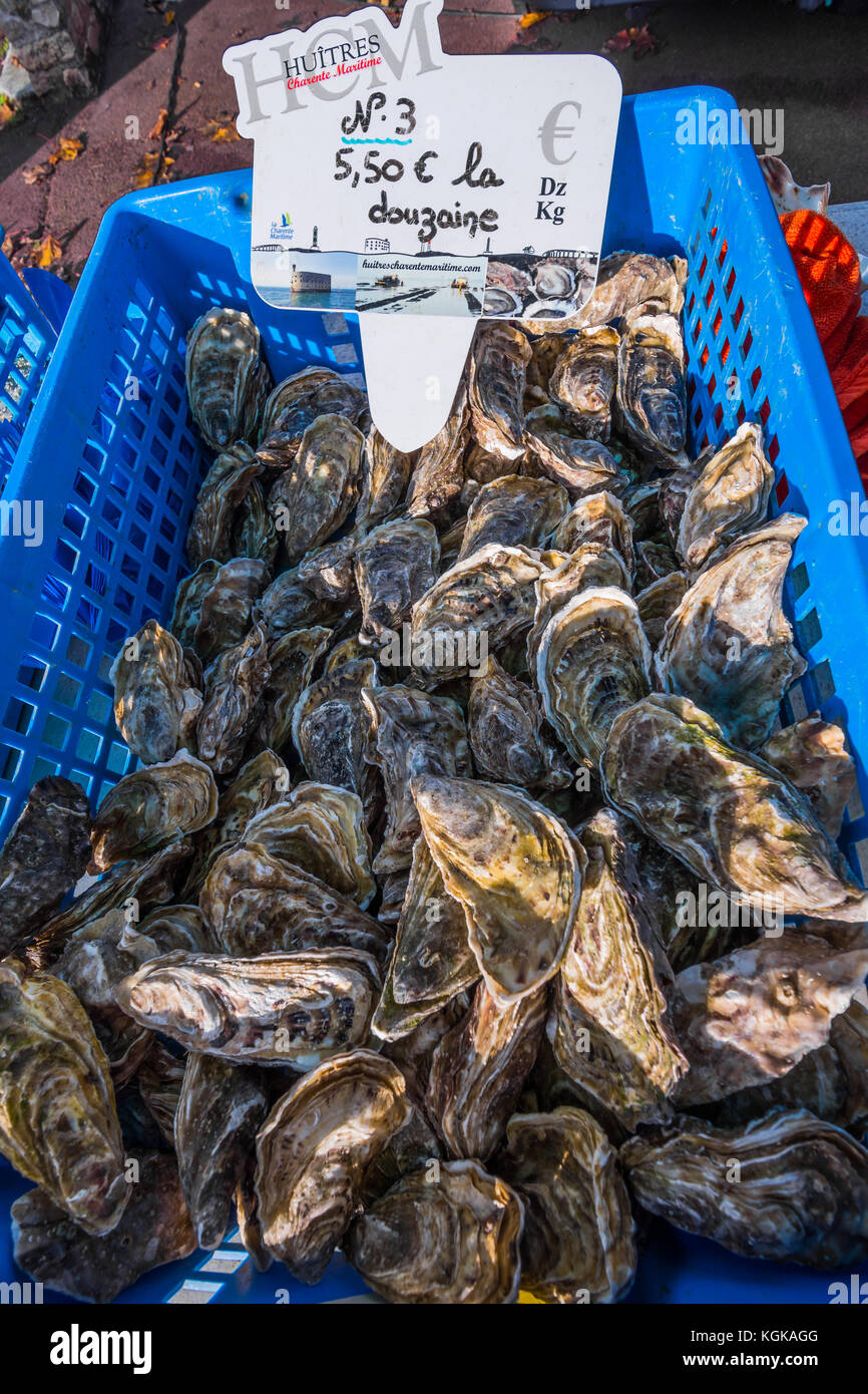 Atlantic oysters for sale in market - France. Stock Photo