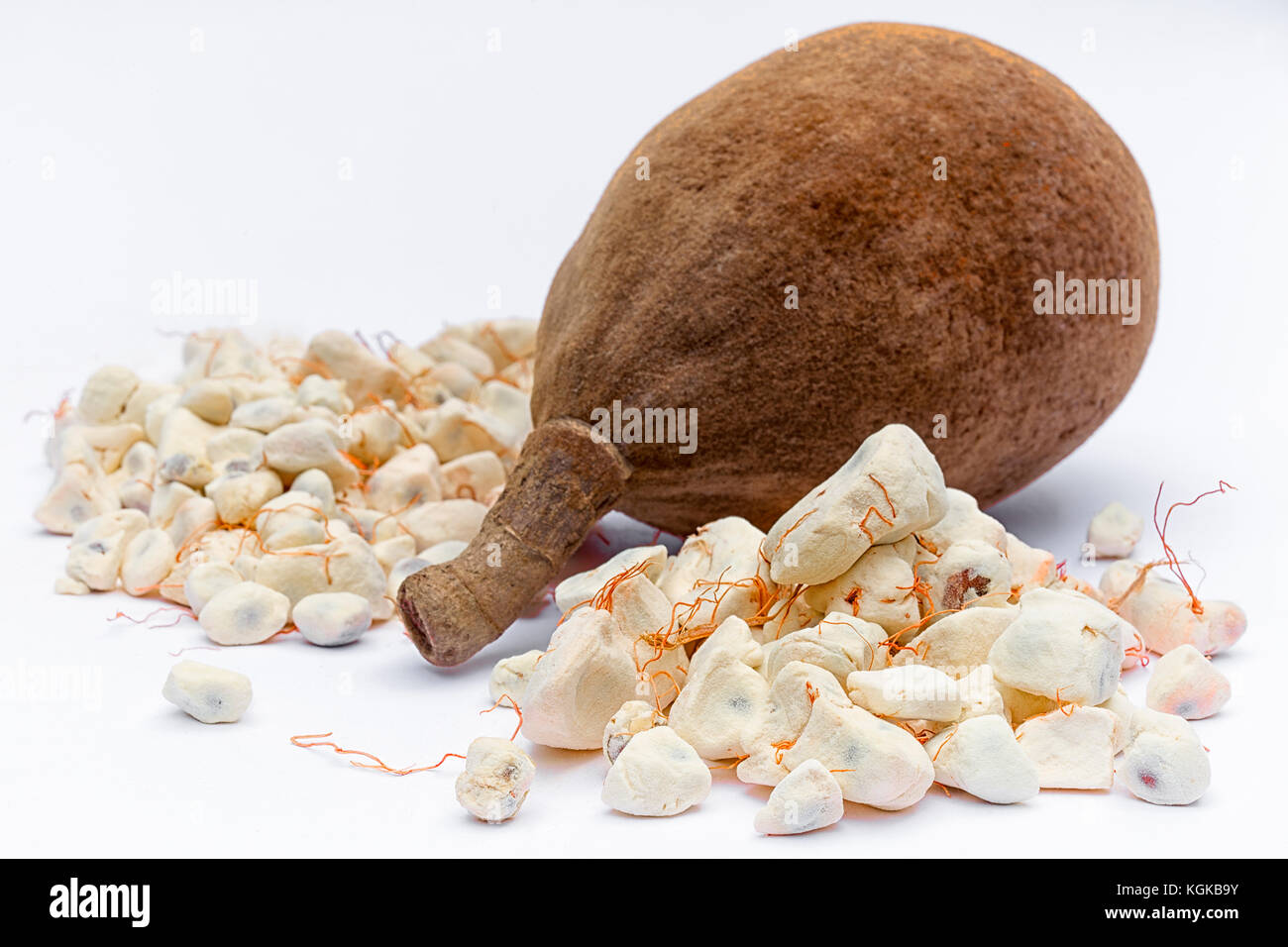Baobab fruit (Adansonia digitata) on white background, pulp and powder, superfood Stock Photo