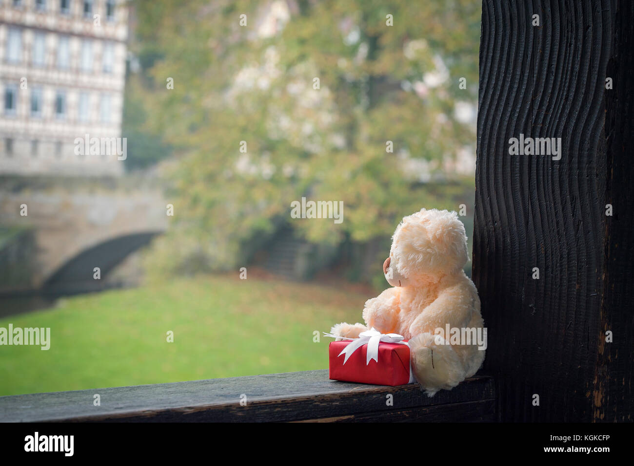 Stuffed bear toy and a red gift box with white ribbon, sitting on a ...