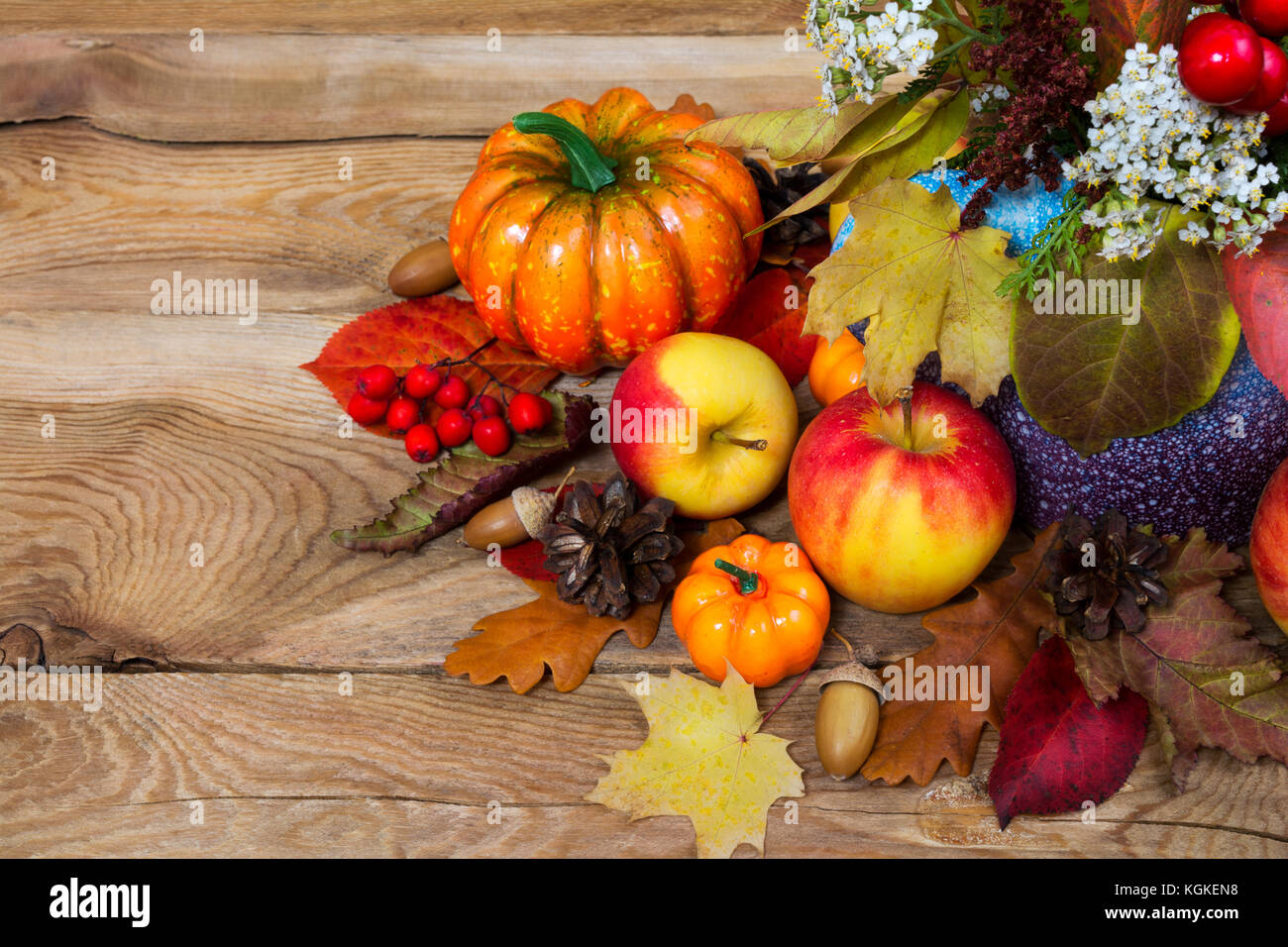 Thanksgiving decoration with red berries, white flowers, pumpkins, apples, cones, acorns, colorful fall leaves and rowan, copy space Stock Photo