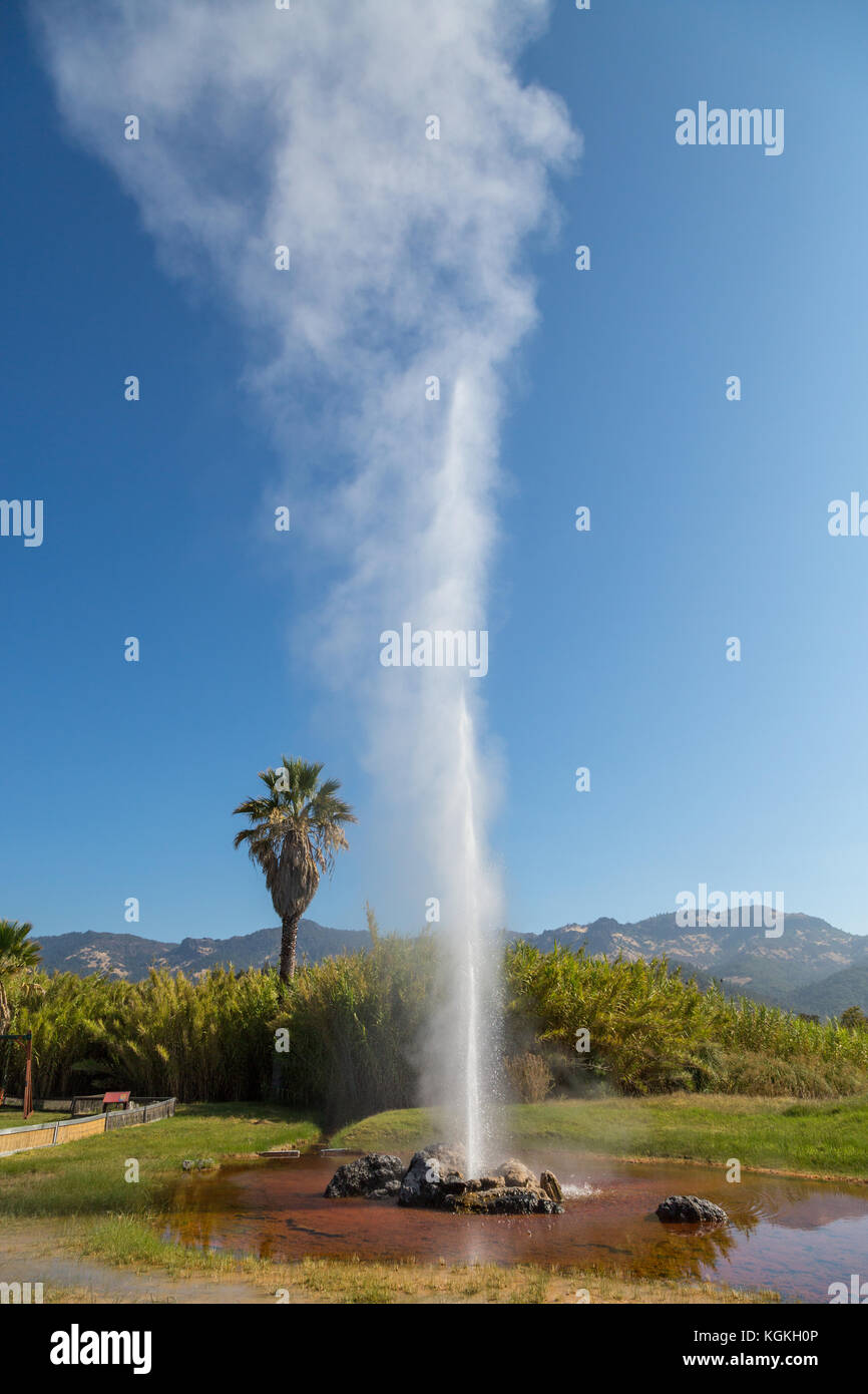 Fountain of the Old Faithfull Geysir, Calistoga, Napa Valley, California, USA Stock Photo