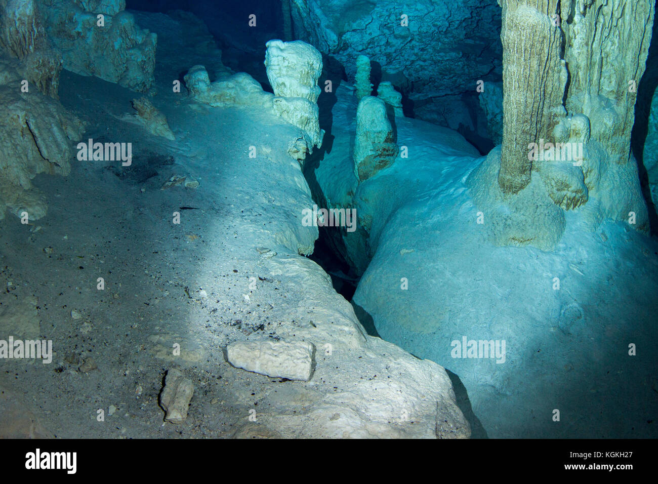 Gesteinsbruch unter Wasser, Linea Barbie, Dos Ojos Cenote, Tulum, Mexico Stock Photo