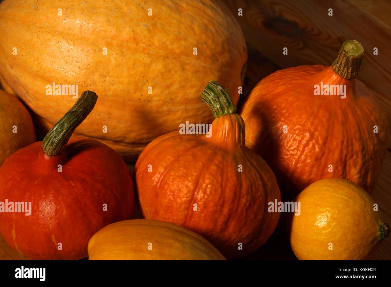 Beautiful different pumpkins lie on the wooden floor. Stock Photo