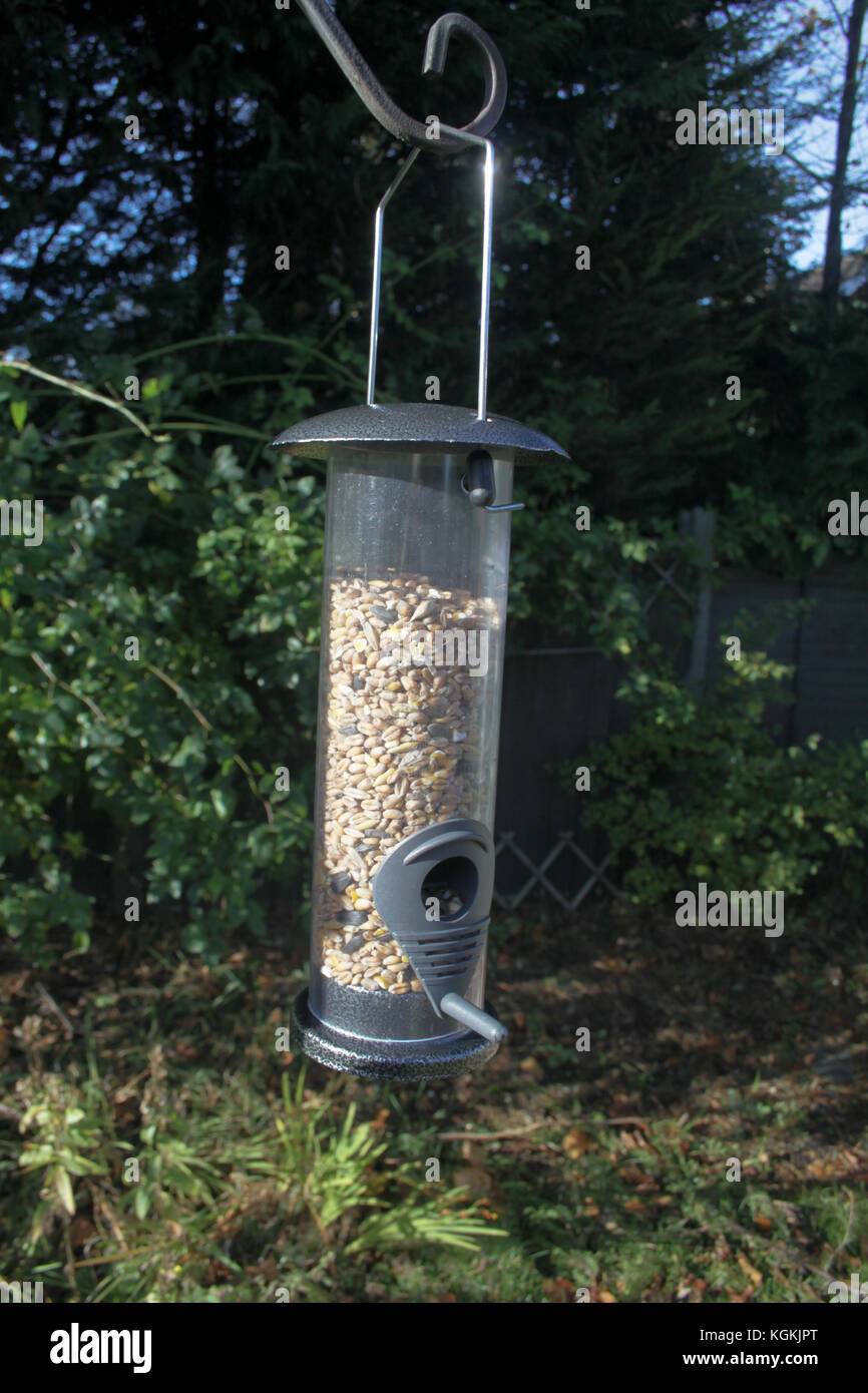 Hanging Up And Filling A New Clean Bird Feeder In An English