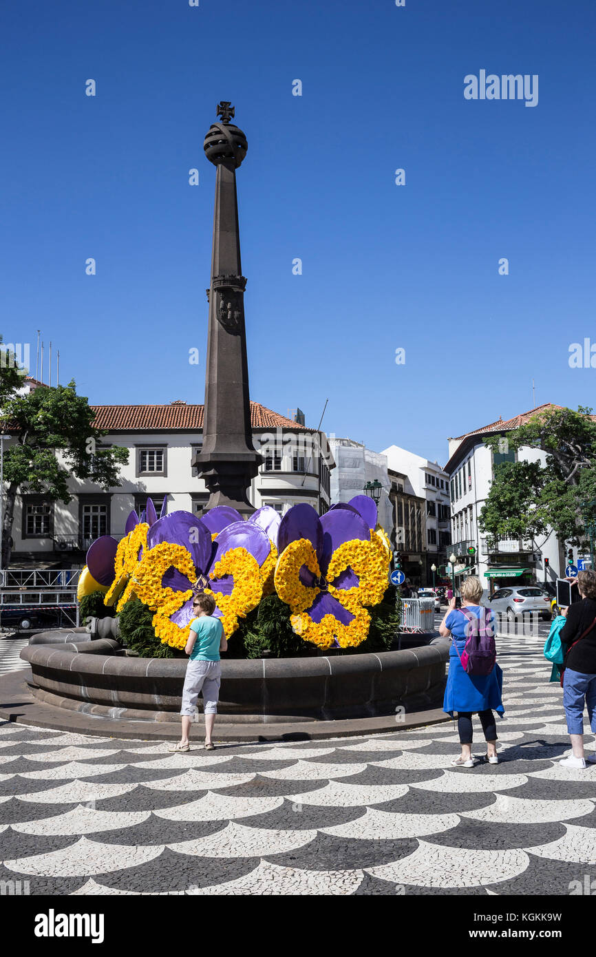 Mauve & Yellow flower display in Rua Dos Ferreiros in Funchal, Madeira, Portugal Stock Photo