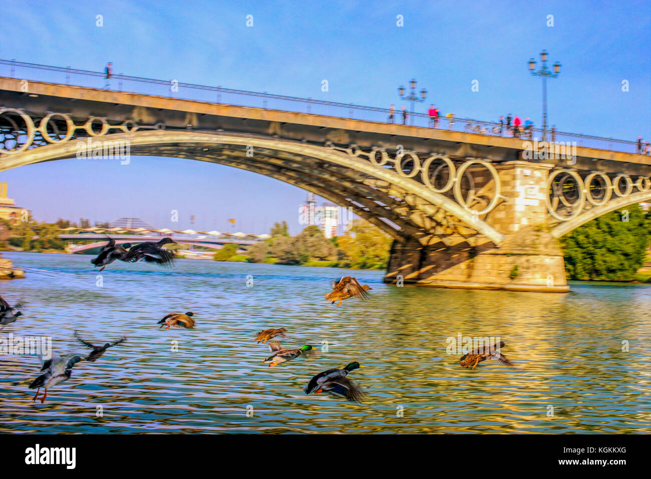 The triana bridge hi-res stock photography and images - Alamy