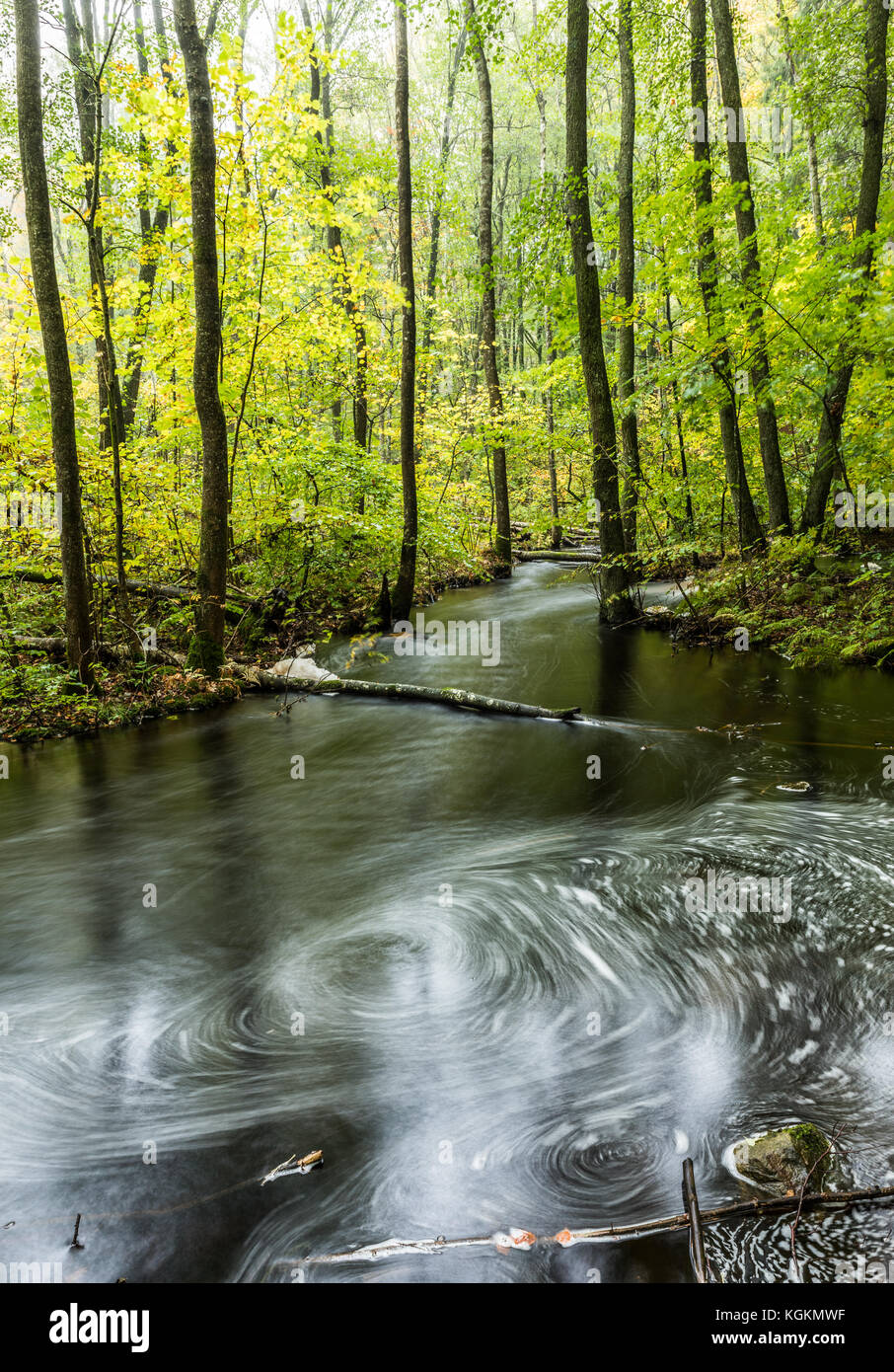 Creak in weastern Sweden Stock Photo