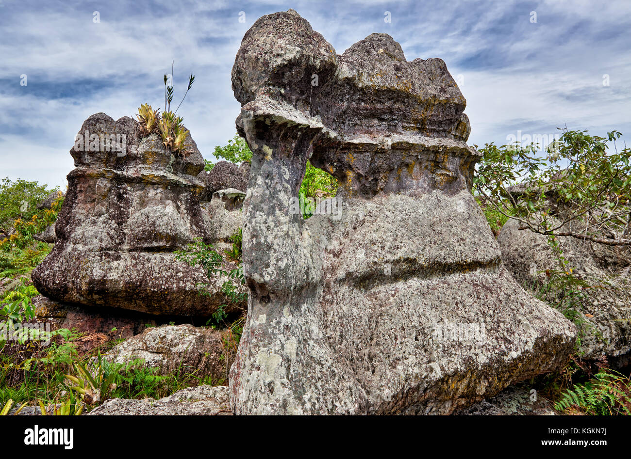 Ciudad de Piedra in National Park of  Serrania de la Macarena, La Macarena, Colombia, South America Stock Photo