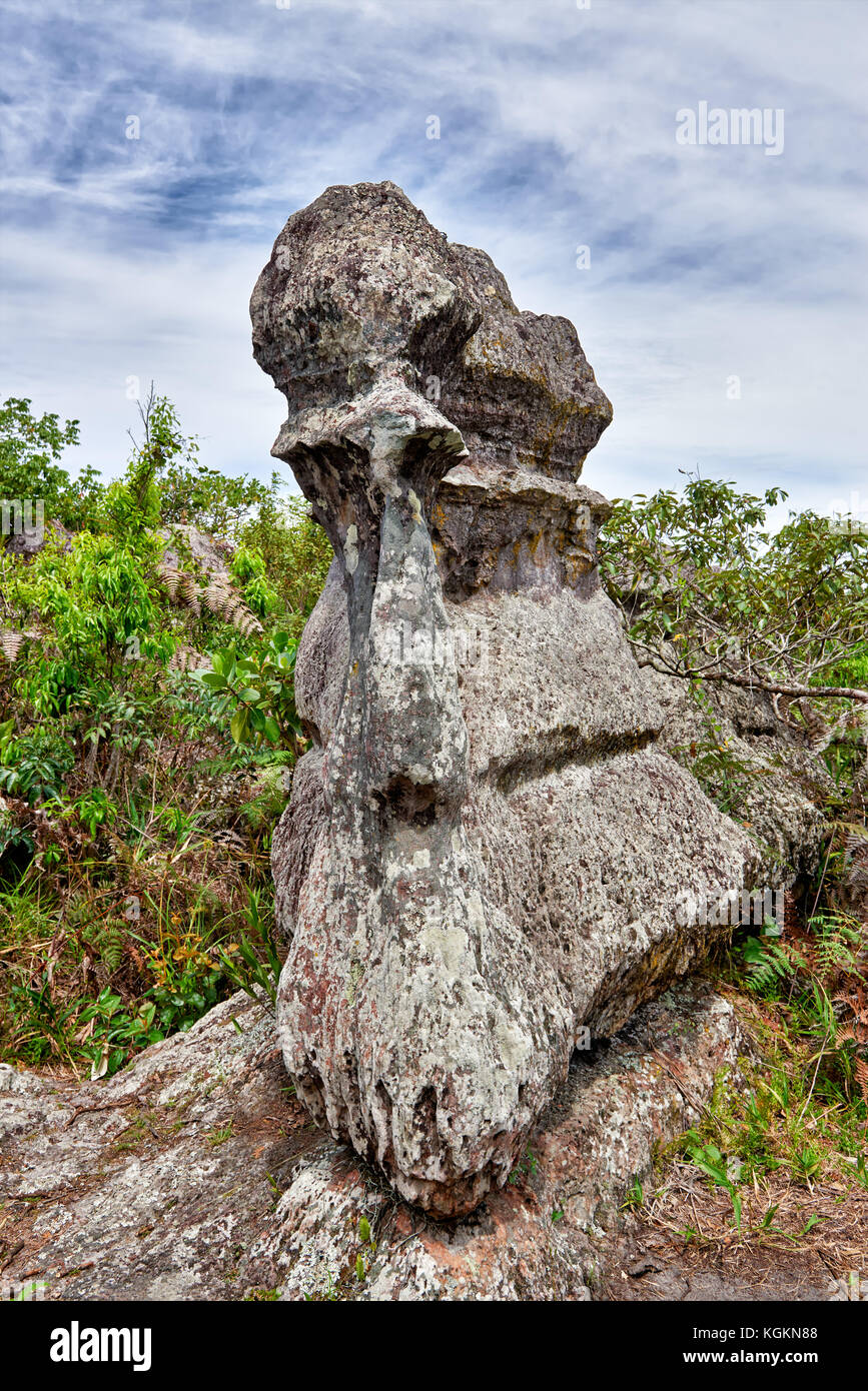 Ciudad de Piedra in National Park of  Serrania de la Macarena, La Macarena, Colombia, South America Stock Photo