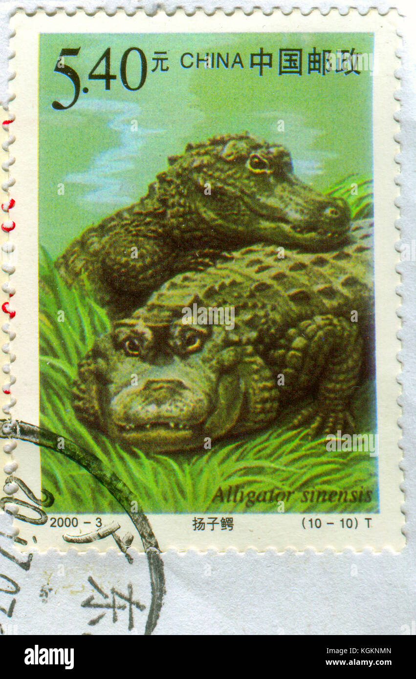 GOMEL, BELARUS, 27 OCTOBER 2017, Stamp printed in China shows image of the Alligator sinensis, circa 2000. Stock Photo