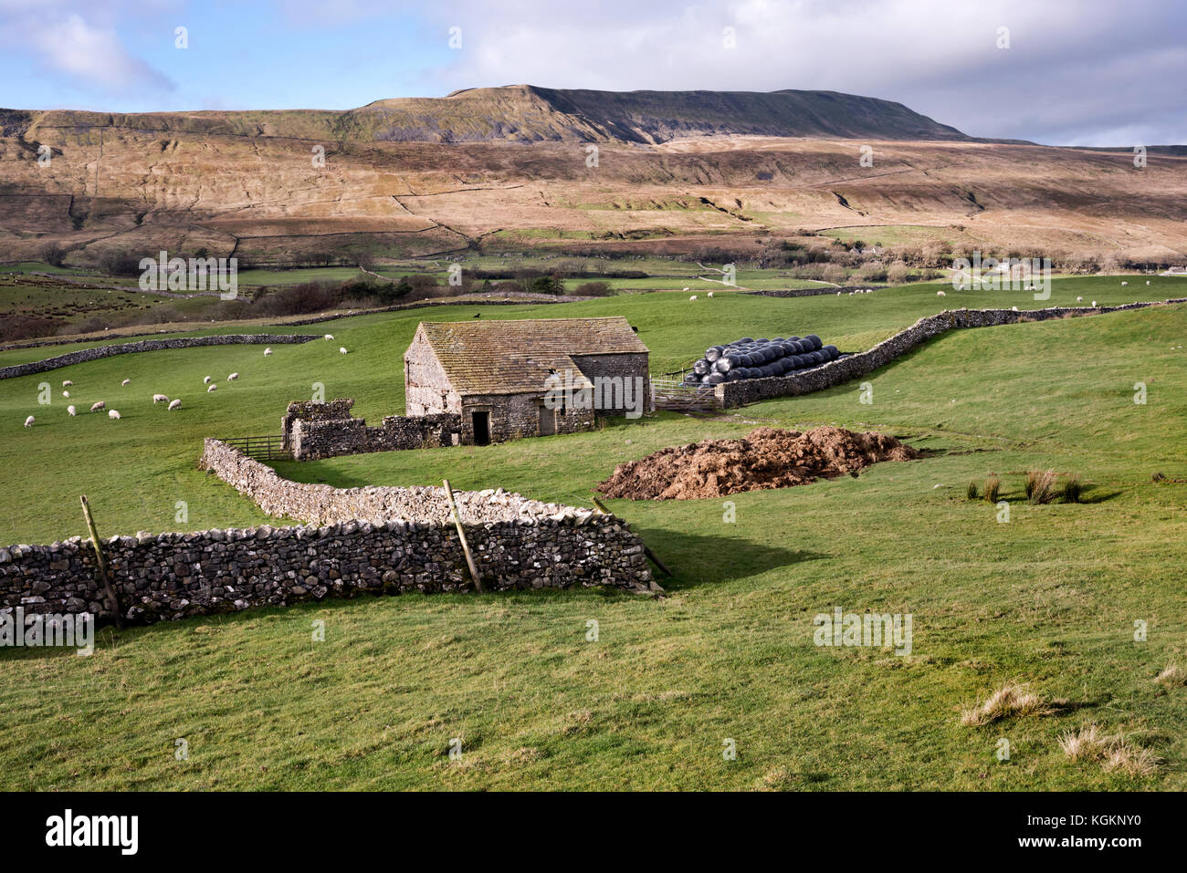 A Yorkshire Dales barn with Whernside Peak as a backdrop, Ribblehead, North Yorkshire, UK Stock Photo
