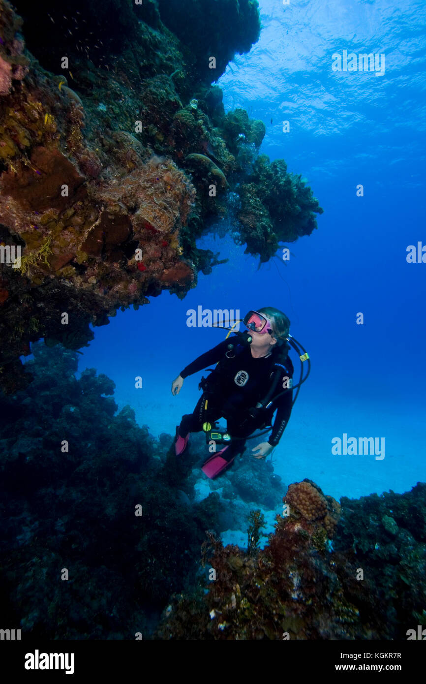 Scuba diver, Eleuthera, Bahamas Model Released Stock Photo Alamy