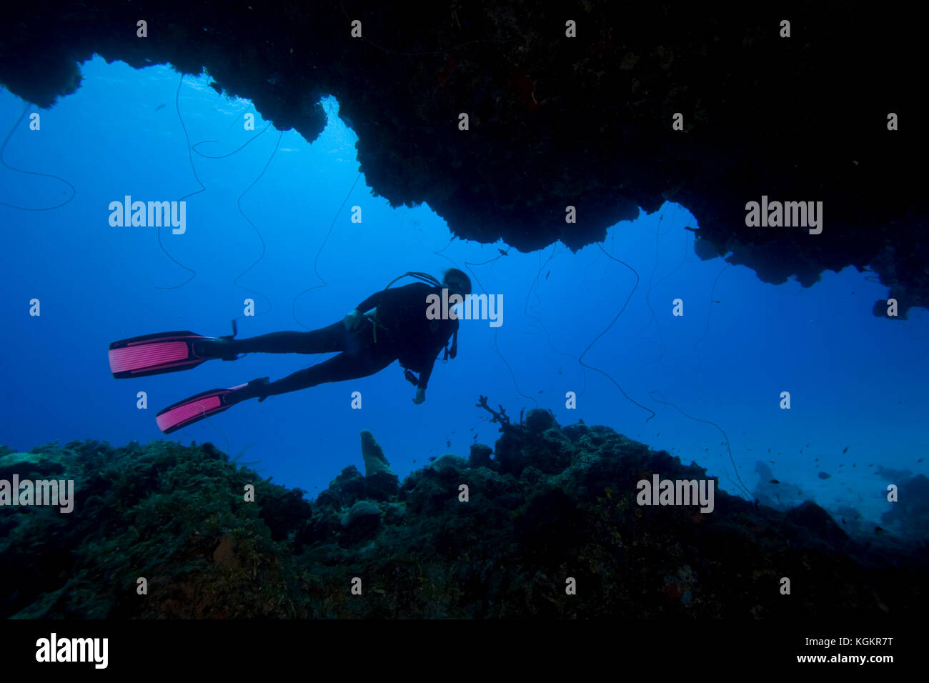Scuba diver, Eleuthera, Bahamas Model Released Stock Photo Alamy