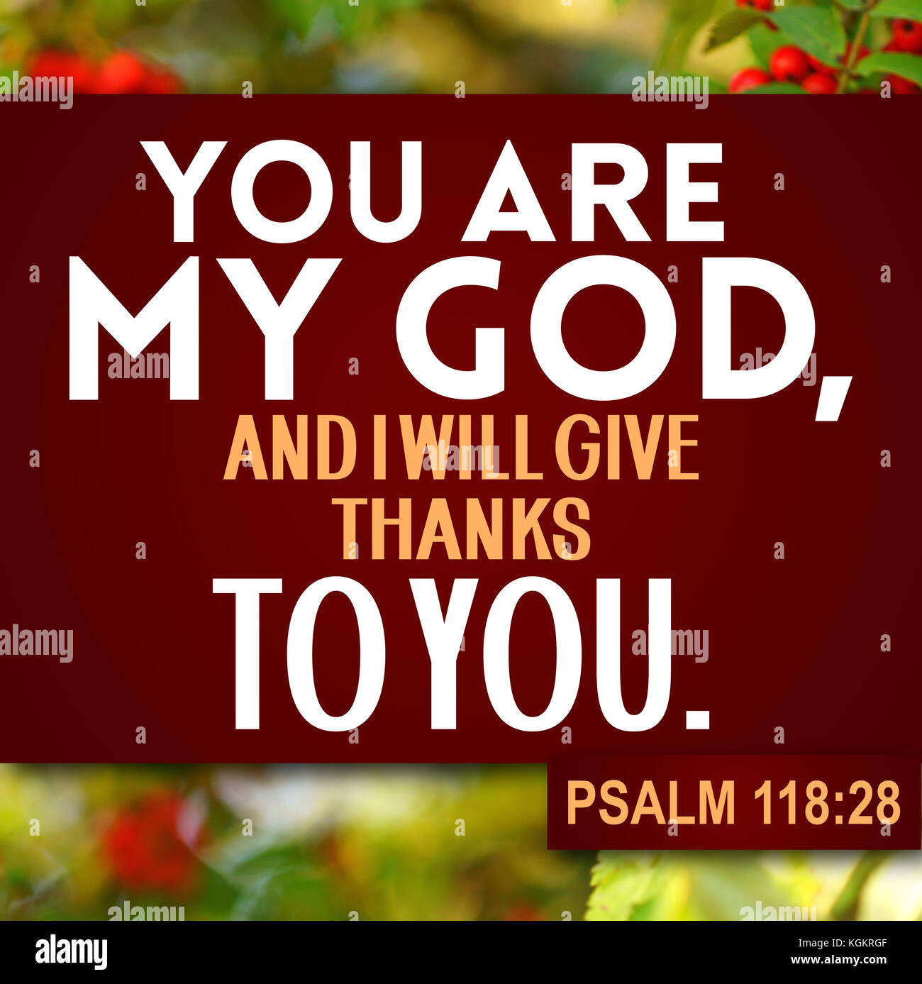 Thanksgiving Psalm 118 28 Stock Photo Alamy thanksgiving-psalm-118-28-stock-photo-alamy
