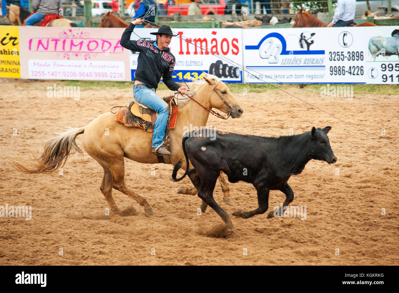 Cowboy in action at a rodeo, a popular pastime in Mato Grosso do Sul ...