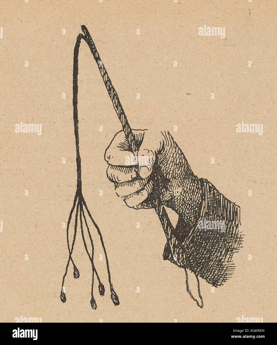 Illustration from the Russian satirical journal Ovod (Gadfly) depicting a hand holding a whip with five lashes, a modified version of the cat-o'-nine-tails, 1906. Stock Photo