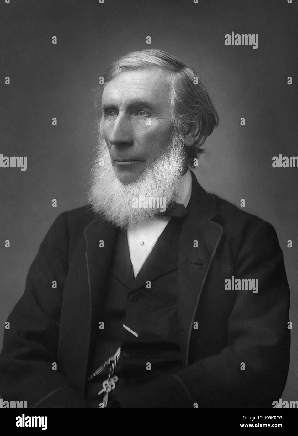 John Tyndall (1845-1896), Irish natural philosopher and scientist, in a c1885 portrait photo by Herbert Rose Barraud. Stock Photo