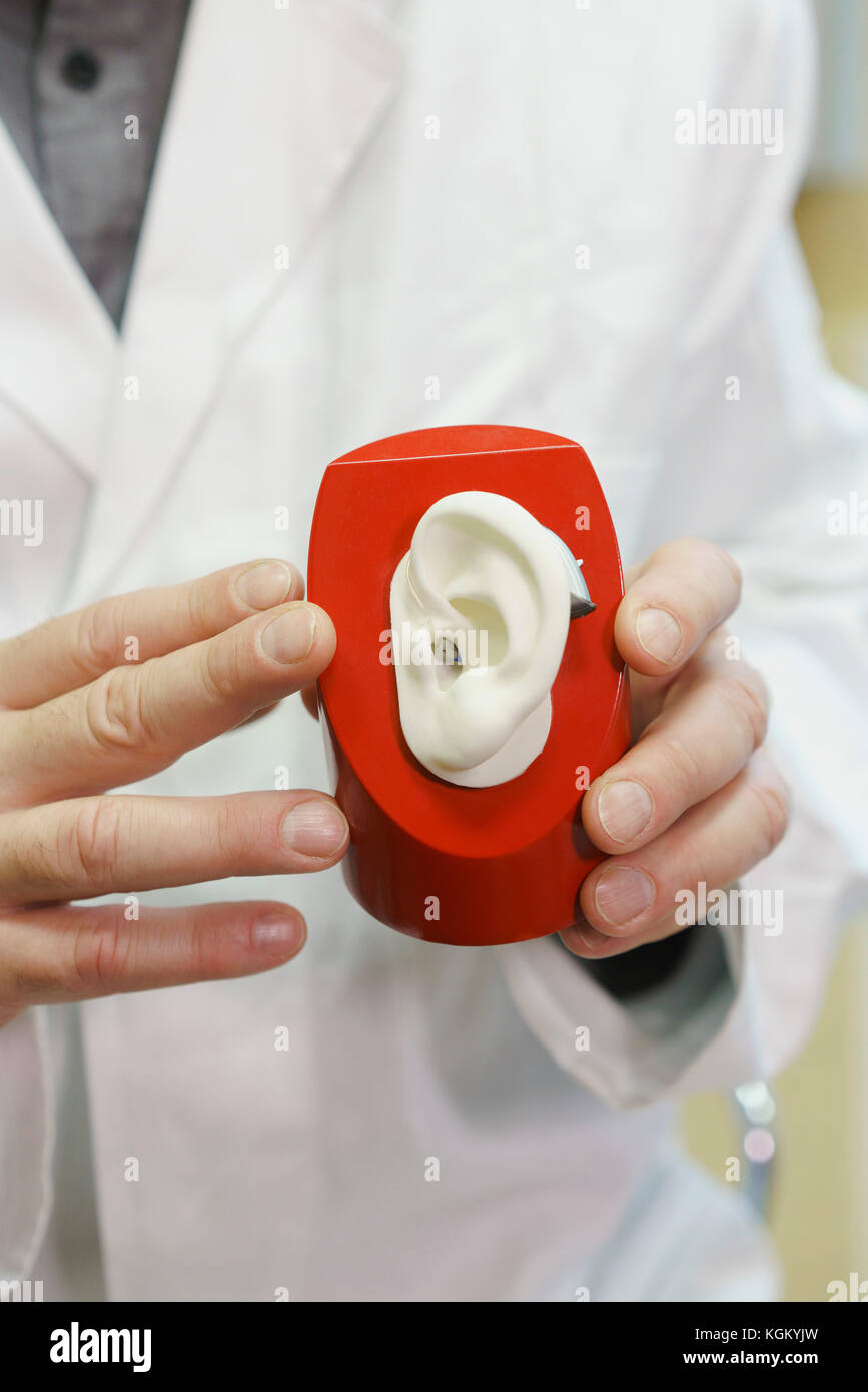 Midsection of audiologist holding anatomical model with hearing aid at office Stock Photo
