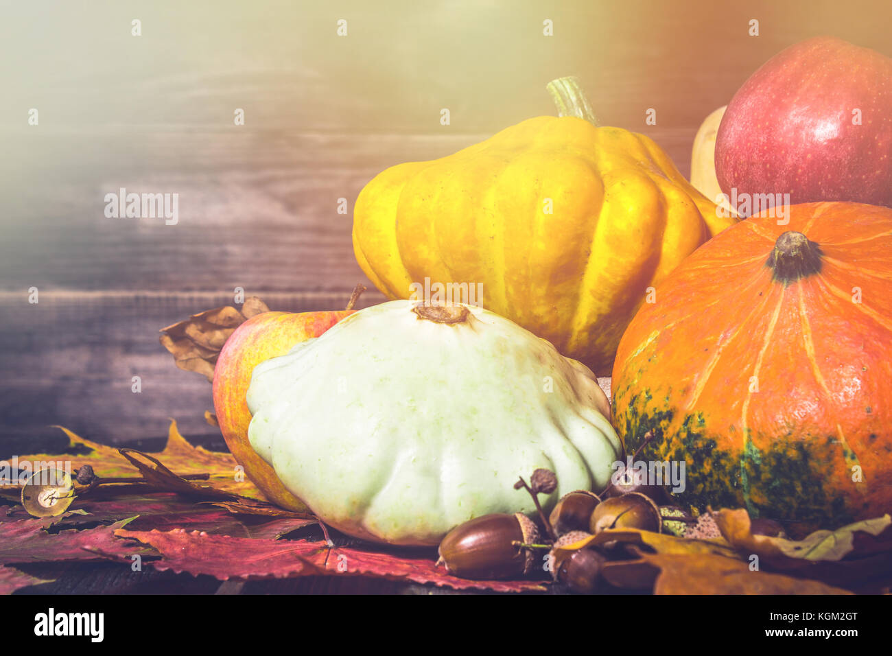 Autumn nature concept. Fall pumpkins and apples on wooden rustic table ...