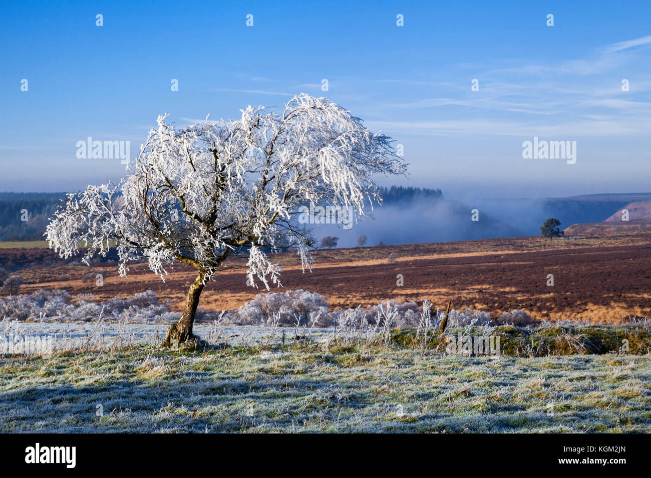 Wintry Saltergate View of Fen Moor and North Dale North York Moors national park North Yorkshire Stock Photo