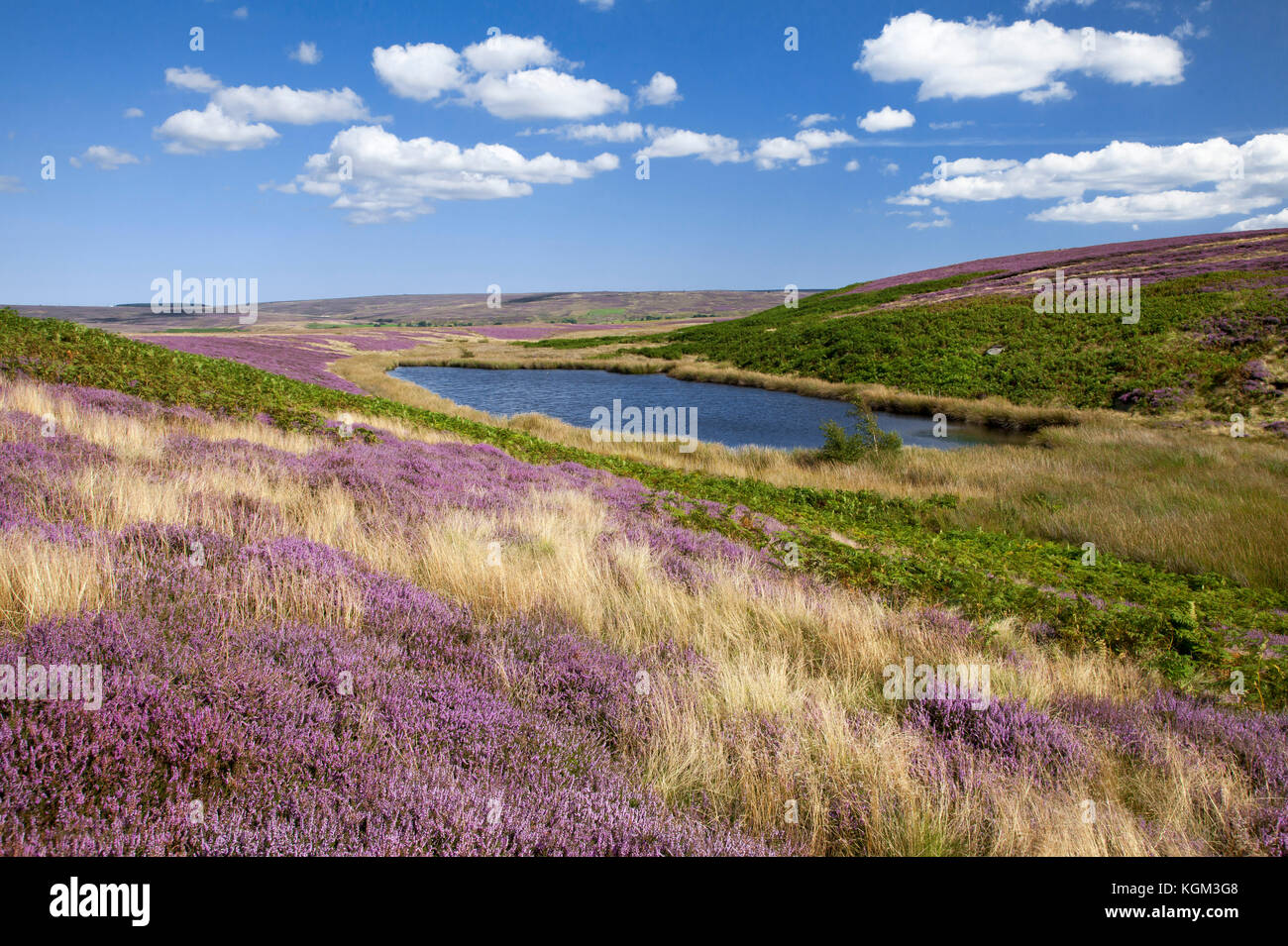 The Tarn Two Howes Rigg above Goathland North York Moors national park North Yorkshire, England,UK Stock Photo
