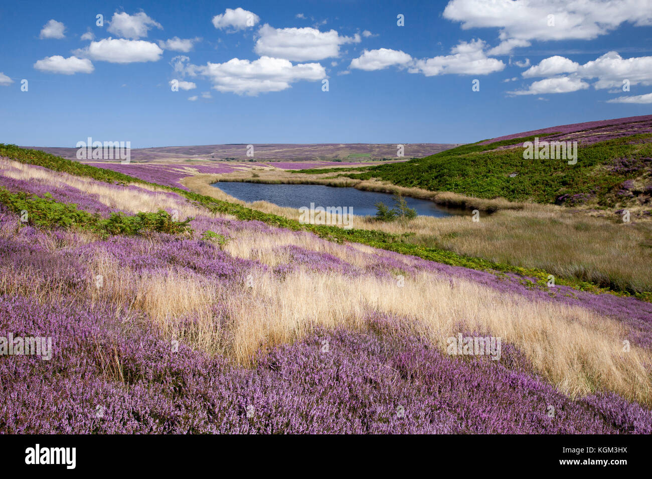 England North York Moors Beautiful Hi res Stock Photography And Images 