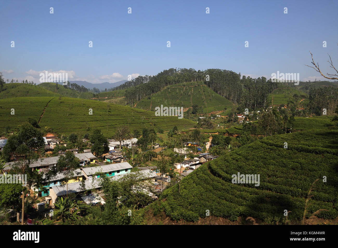 Hill Country Central Province Sri Lanka Tea Plantation and Village Stock Photo