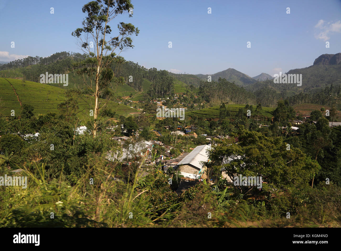 Hill Country Central Province Sri Lanka Tea Plantation and Village Stock Photo