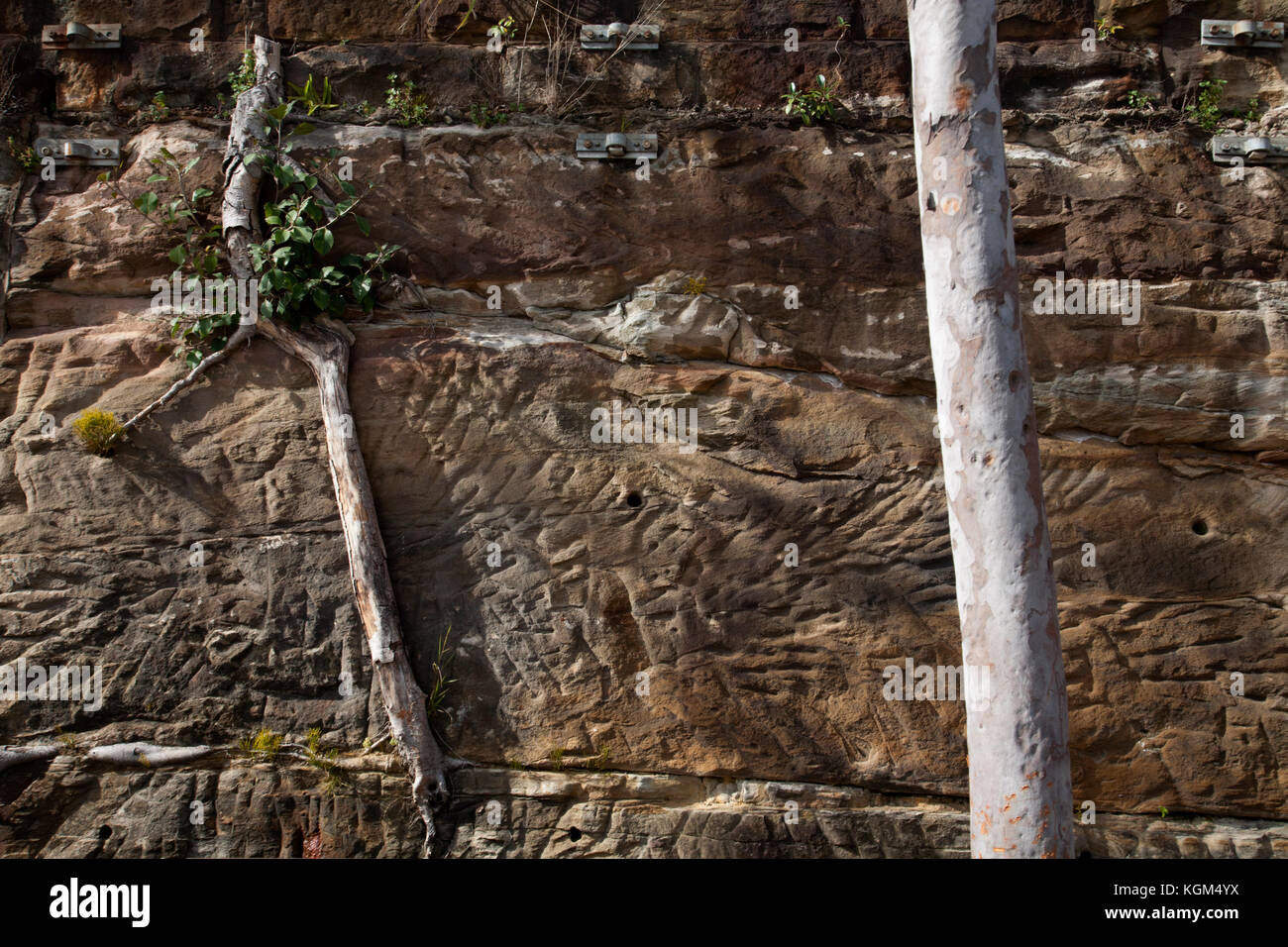 Pyrmont sandstone hi-res stock photography and images - Alamy