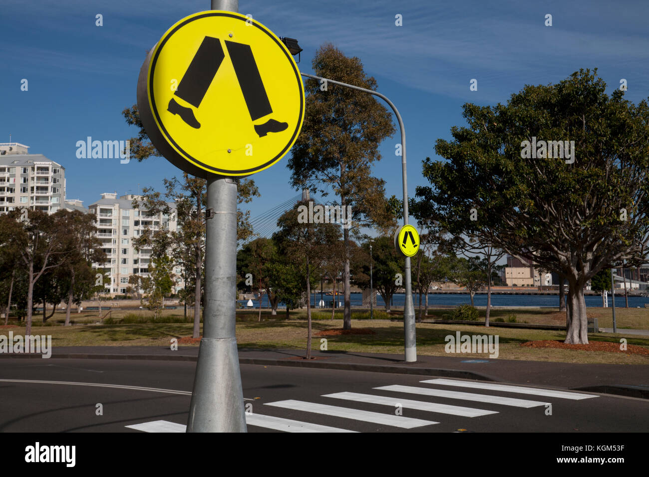 pedestrian crossing pirrama road pyrmont sydney new south wales australia Stock Photo