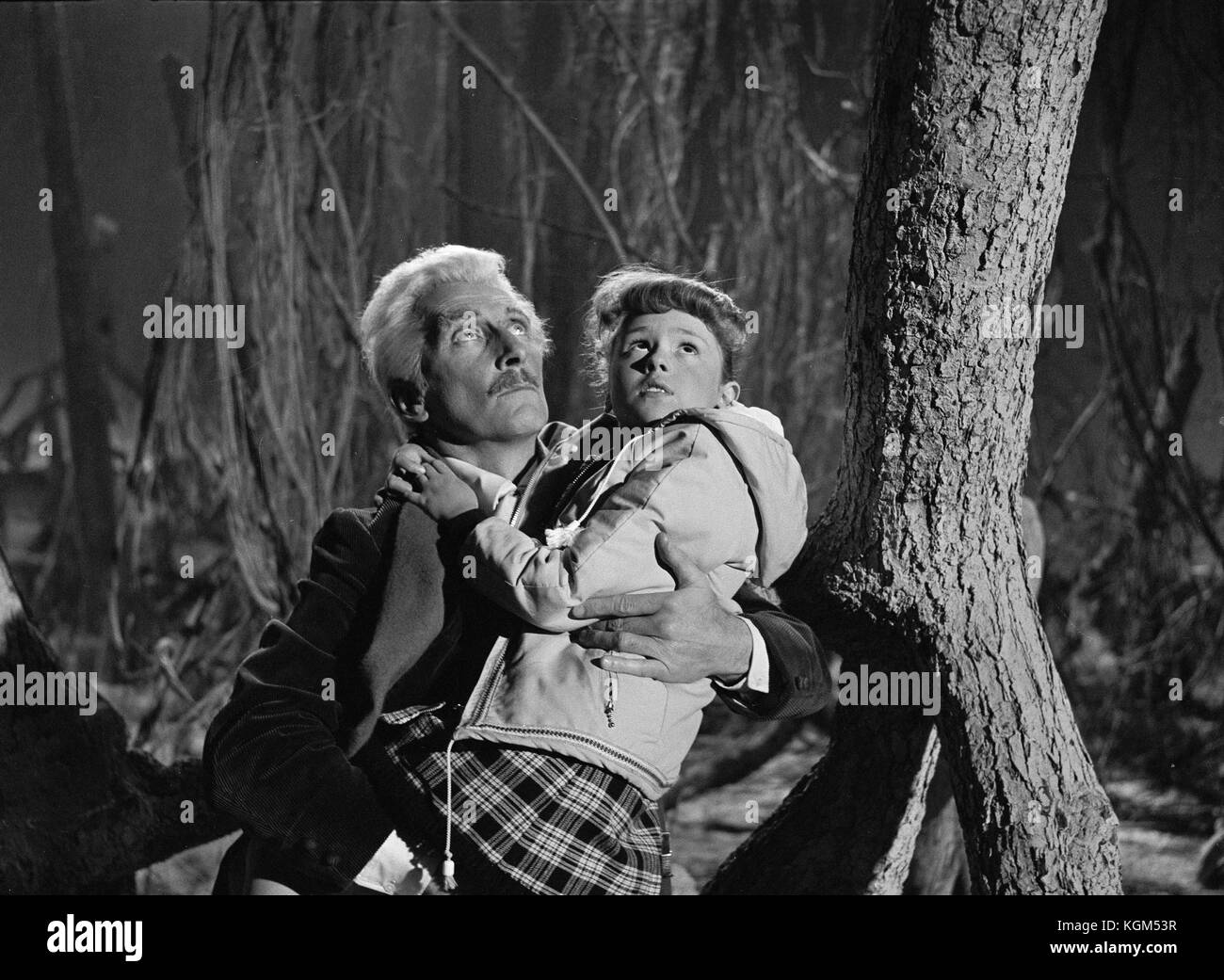 Roberta tovey hires stock photography and images Alamy