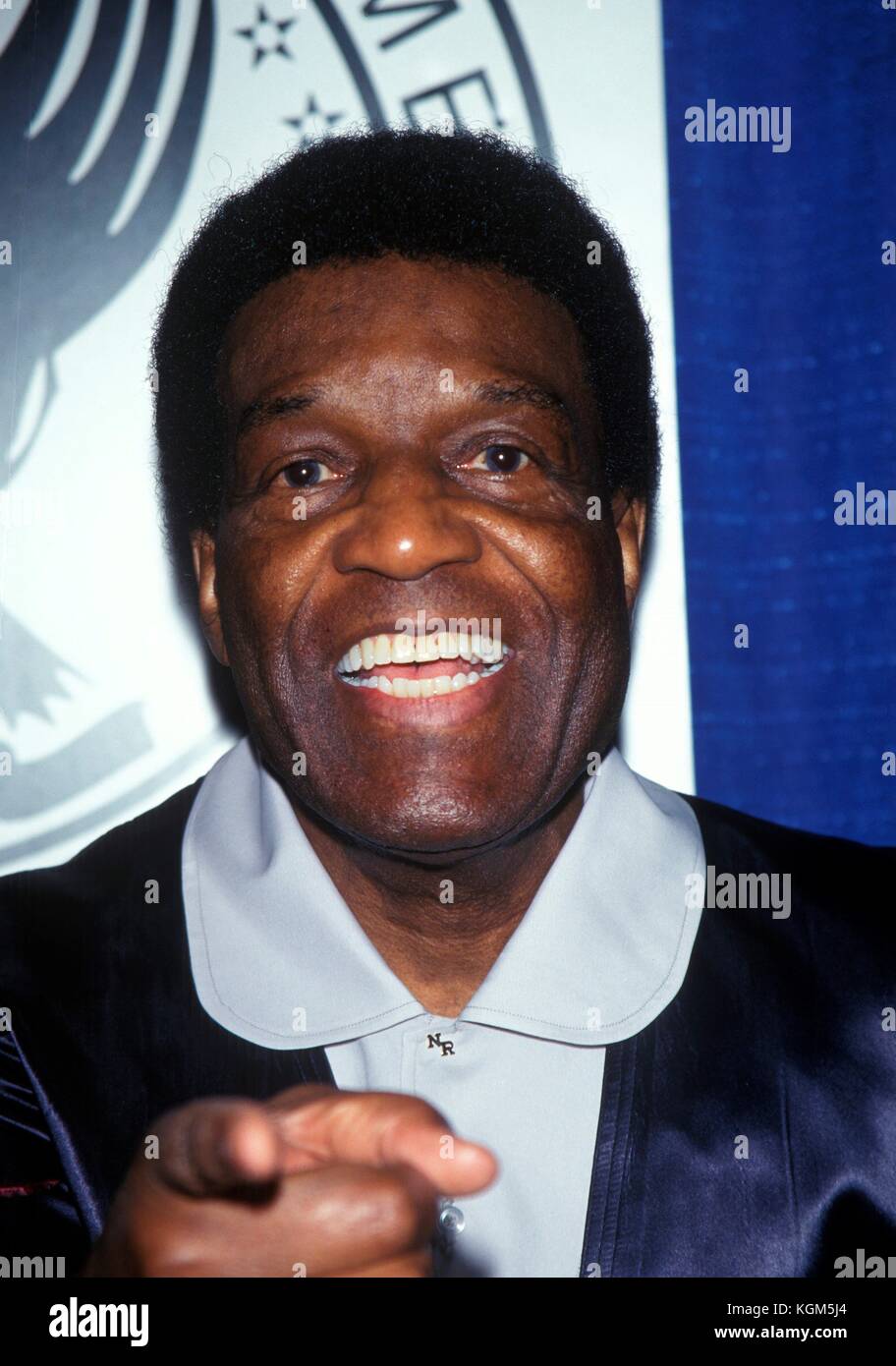Nipsey Russell at the 49th Annual DGA awards Dinner in New York City