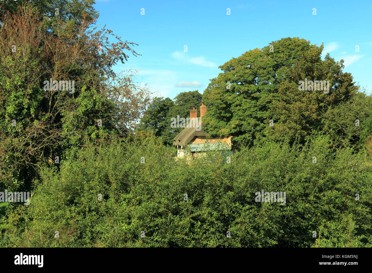 Cottage in trees,Wool,Dorset,UK Stock Photo Alamy