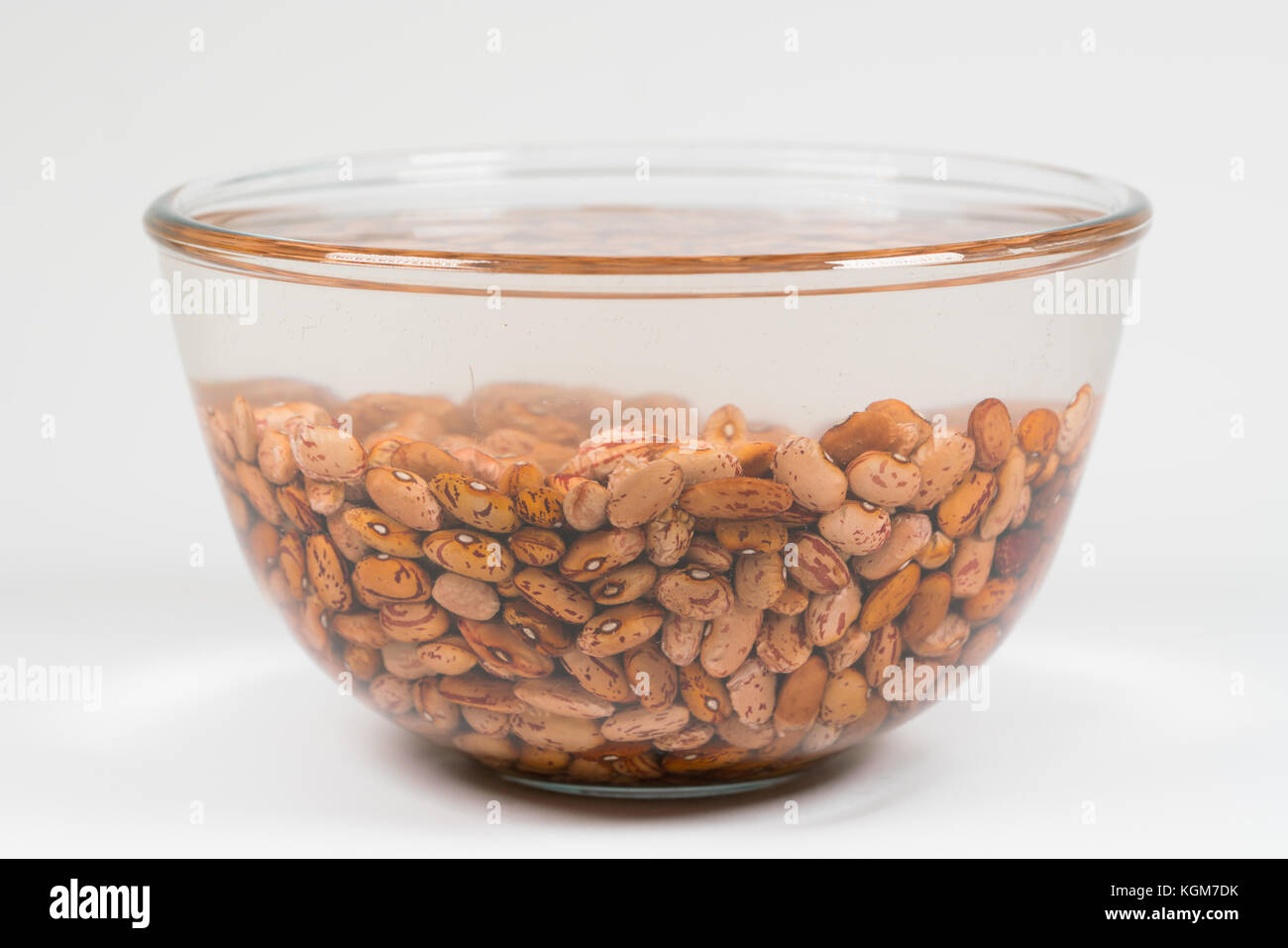 Dried orange coloured beans absorb water Stock Photo Alamy