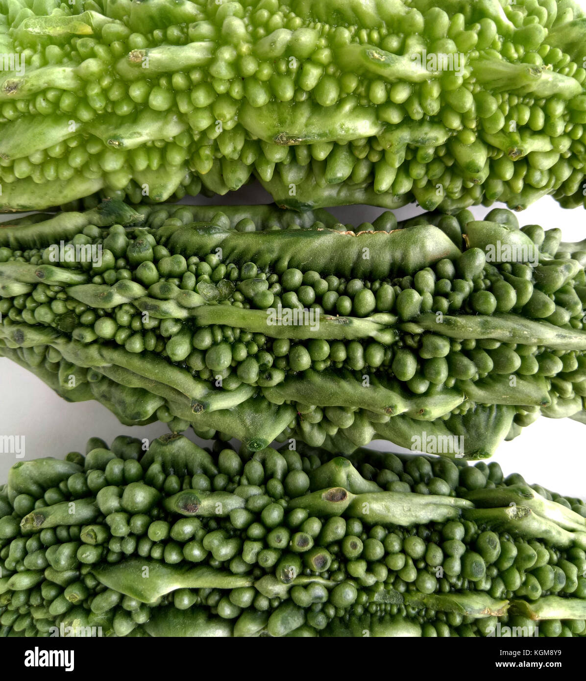 White Bitter Gourd High Resolution Stock Photography and Images Alamy