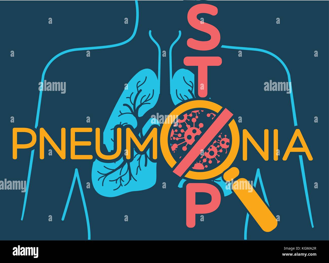 Anatomy Poster Stock Photos & Anatomy Poster Stock Images - Alamy